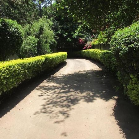 Themi Valley Eco And Cultural Tourism Homestay Arusha Dış mekan fotoğraf