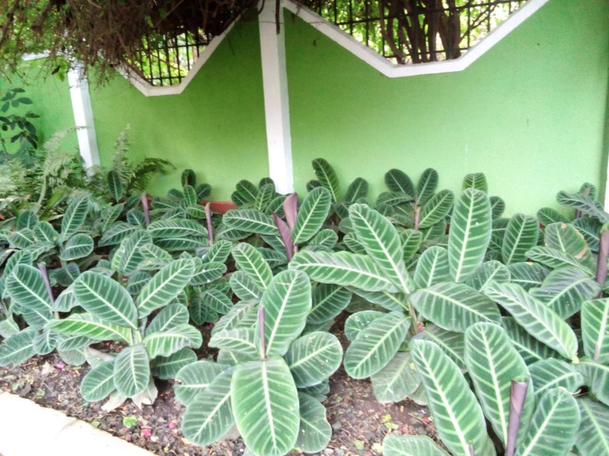 Themi Valley Eco And Cultural Tourism Homestay Arusha Dış mekan fotoğraf