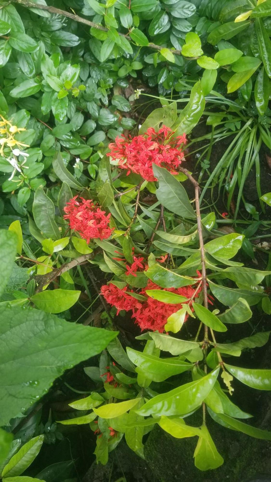 Themi Valley Eco And Cultural Tourism Homestay Arusha Dış mekan fotoğraf