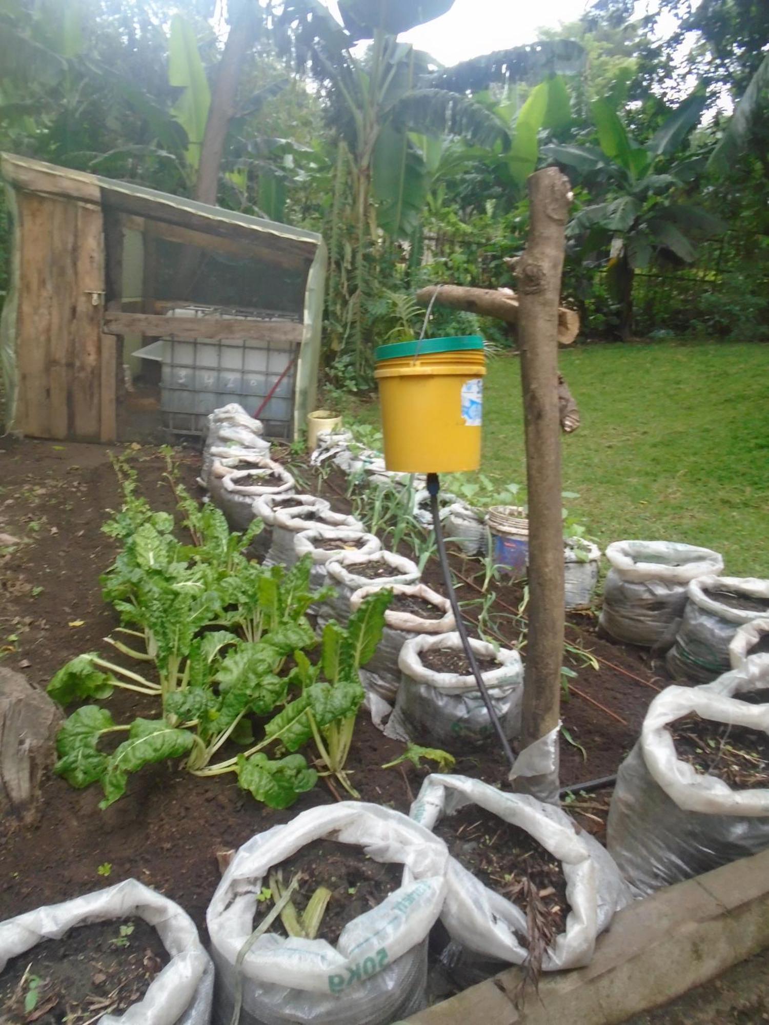 Themi Valley Eco And Cultural Tourism Homestay Arusha Dış mekan fotoğraf