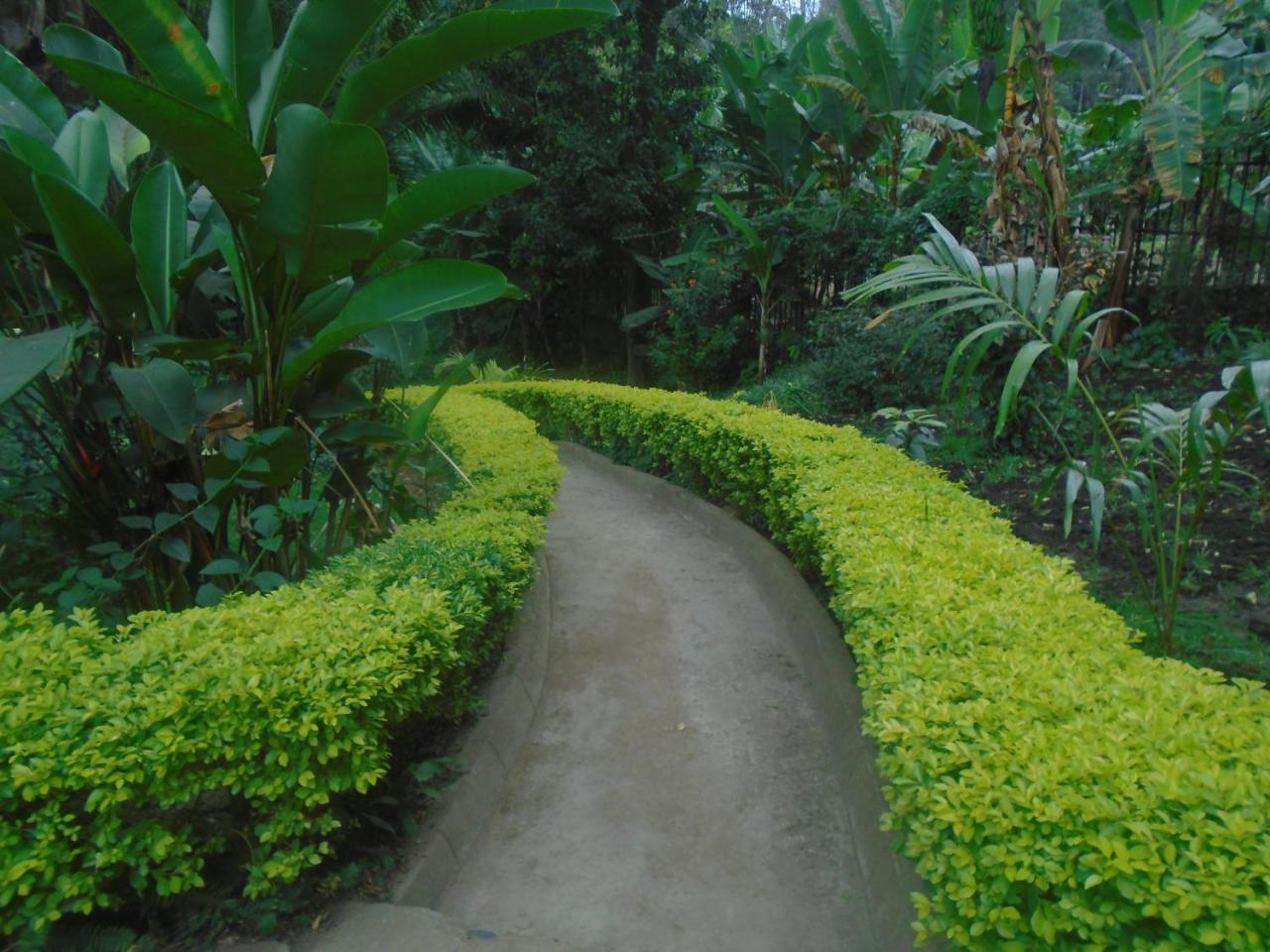 Themi Valley Eco And Cultural Tourism Homestay Arusha Dış mekan fotoğraf