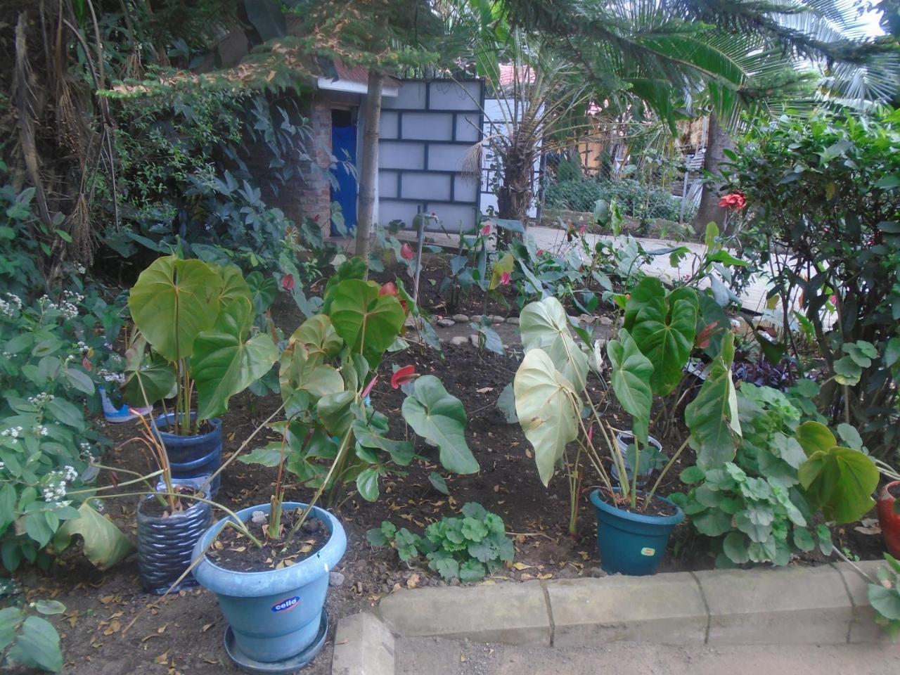 Themi Valley Eco And Cultural Tourism Homestay Arusha Dış mekan fotoğraf