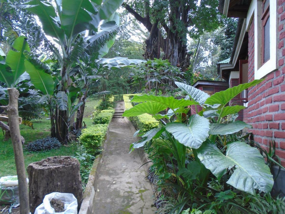 Themi Valley Eco And Cultural Tourism Homestay Arusha Dış mekan fotoğraf